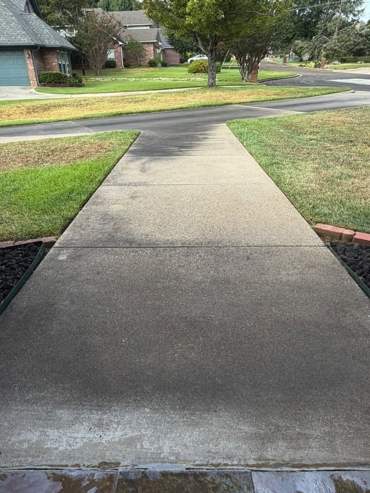 Front walkway before cleaning